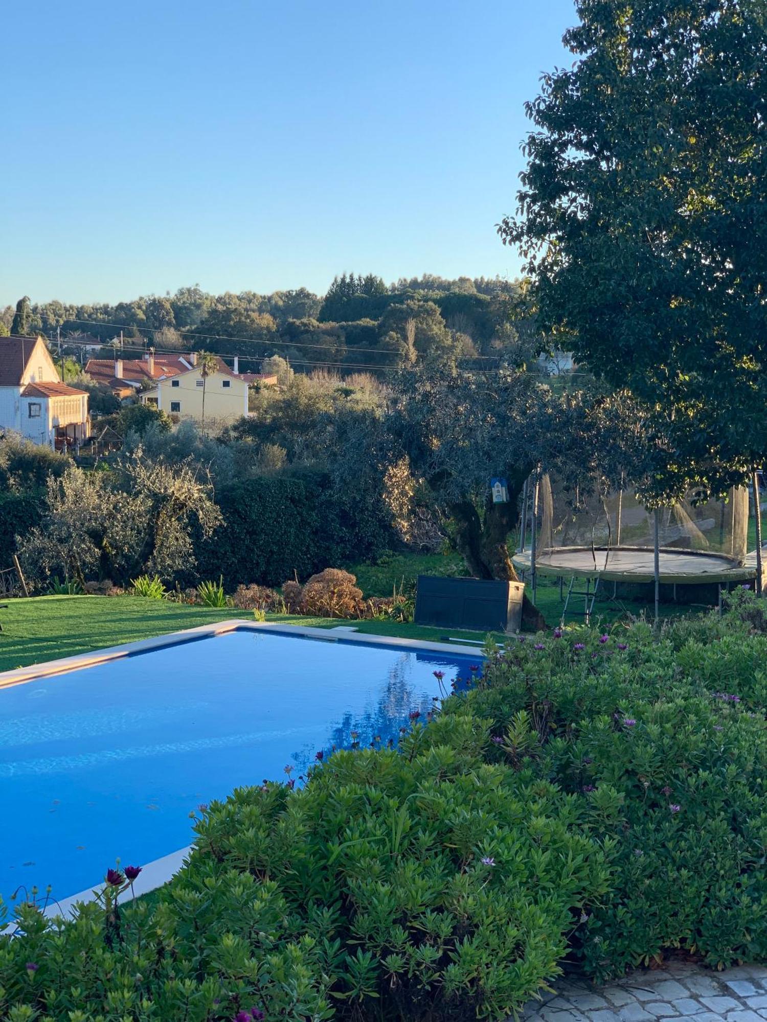 Quinta Dos Girassois Fz Leilighet Ferreira do Zêzere Eksteriør bilde